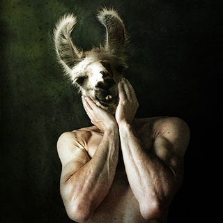 Illustration for article titled These photoshop mashups of humans and animals freak the hell out of me